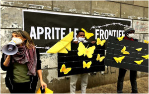 Farfalle gialle