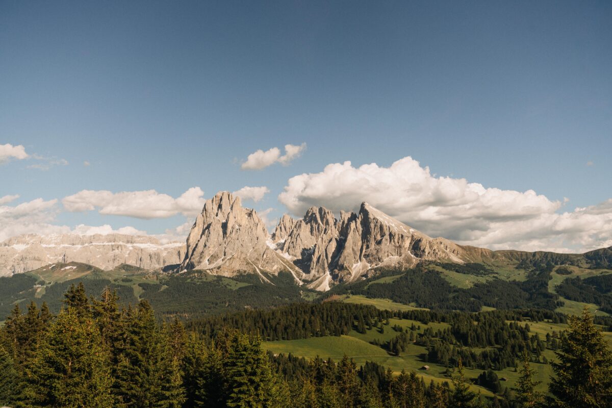 Scopri di più sull'articolo Cantine bio. Eccellenze sotto il Monte Amiata