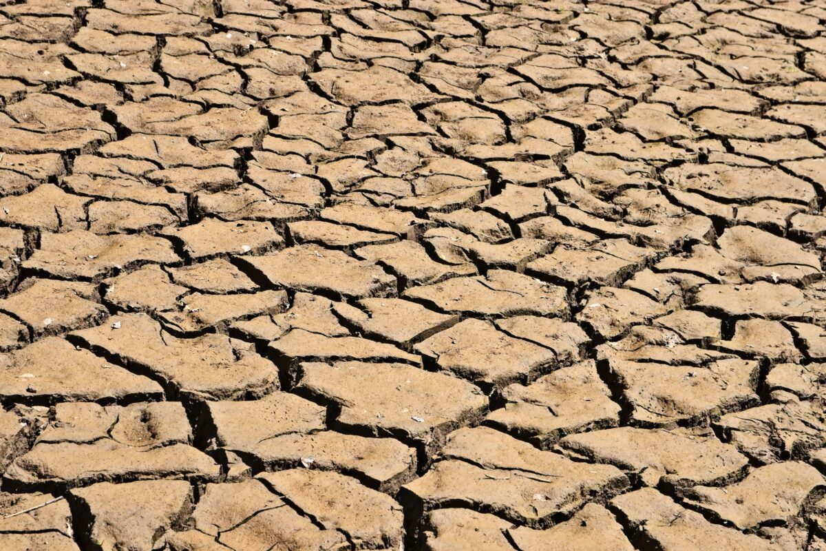 Al momento stai visualizzando Caldo e siccità al Nord. Un Rapporto Ue ci aveva avvisati