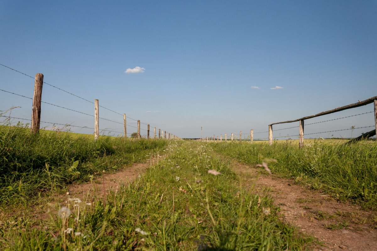 Scopri di più sull'articolo Scomparso un quarto delle campagne, il cemento mangia 19 ettari al giorno