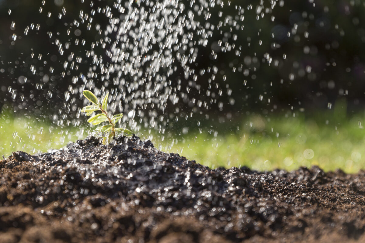 Al momento stai visualizzando Siccità. In Italia mancherà fino al 40% dell’acqua