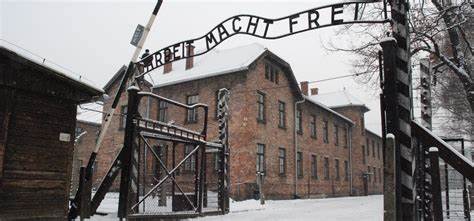 Al momento stai visualizzando Shoah, Fabrizio Molina: memoria strumento per gridare la pace