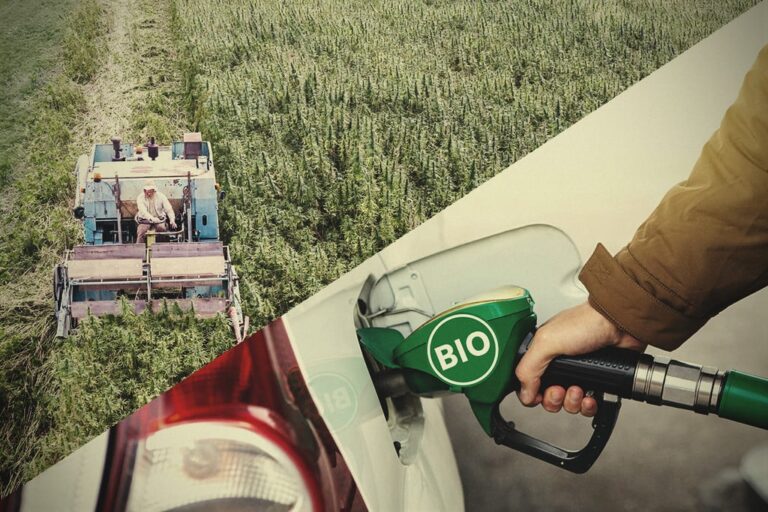 Scopri di più sull'articolo Biofuel, l’Italia protagonista della produzione Green