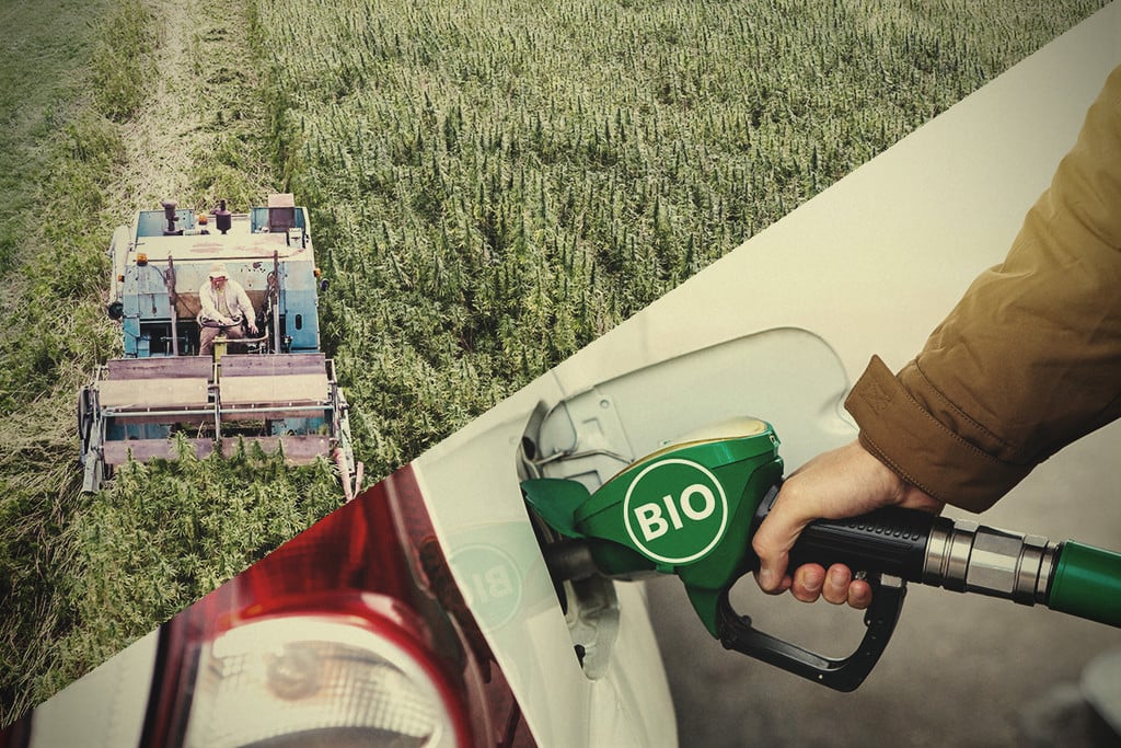 Al momento stai visualizzando Biofuel, l’Italia protagonista della produzione Green