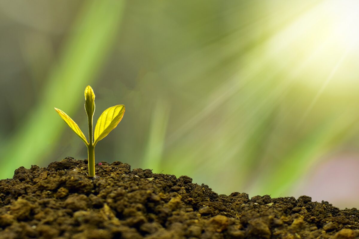 Al momento stai visualizzando L’Italia è leader nell’economia circolare, presentato il ‘Rapporto GreenItaly 2023’