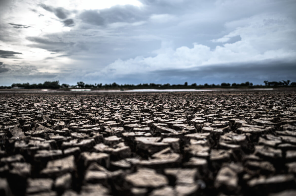 Al momento stai visualizzando Riscaldamento globale: la differenza tra studi e opinioni degli scienziati