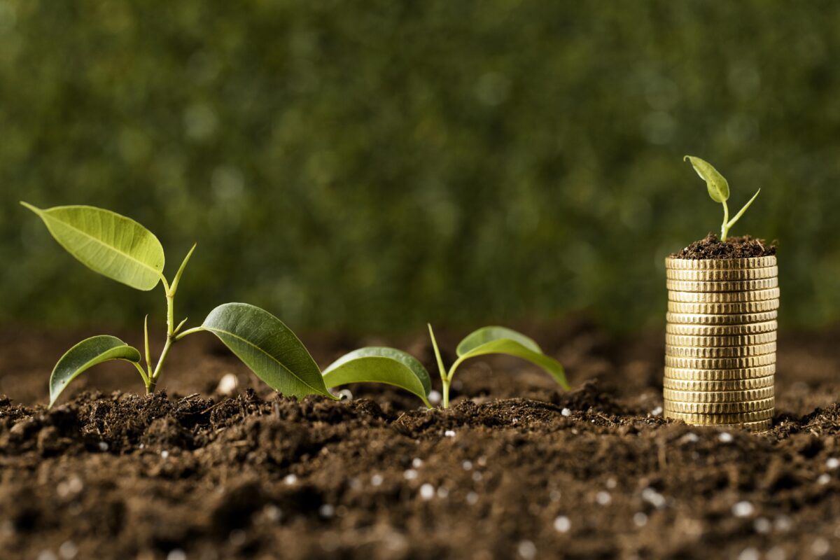 Al momento stai visualizzando “La corsa dell’Italia dei record: bioeconomia, brevetti, start up e green”