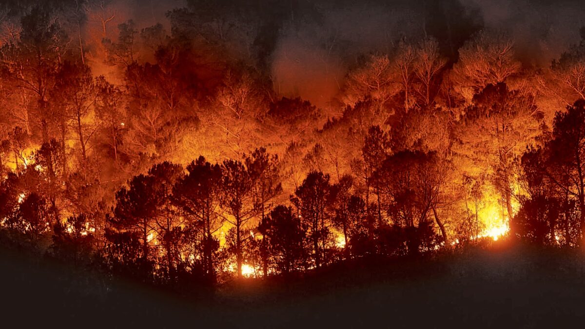 Al momento stai visualizzando Incendi boschivi e inquinamento atmosferico: così salute umana ed ecosistemi sono in pericolo