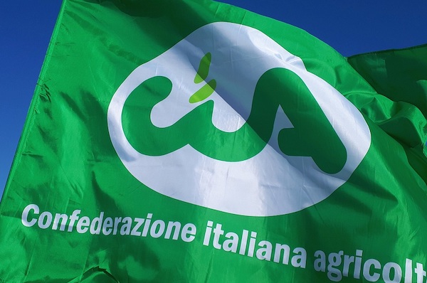 Al momento stai visualizzando Agricoltura e tutela del territorio: Cia-Agricoltori Italiani chiede un fondo speciale per la sicurezza e la manutenzione delle aree interne