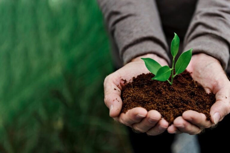 Scopri di più sull'articolo Le buone pratiche che vengono dalla agro-ecologia