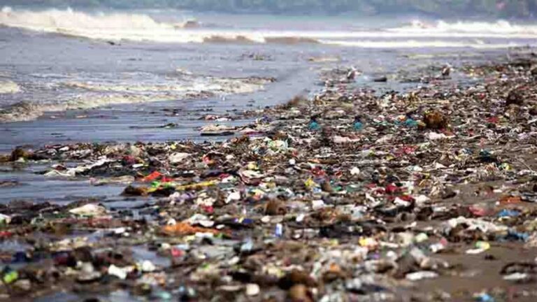 Scopri di più sull'articolo Micro plastiche e cibi importati, troppi rischi per la salute e l’economia