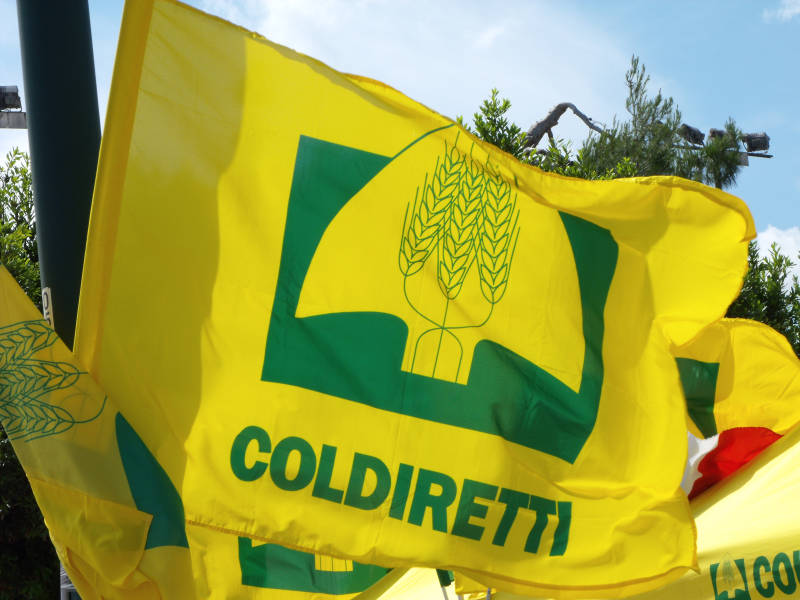Scopri di più sull'articolo Salute, cibo straniero 8 volte più pericoloso. L’allarme di Coldiretti