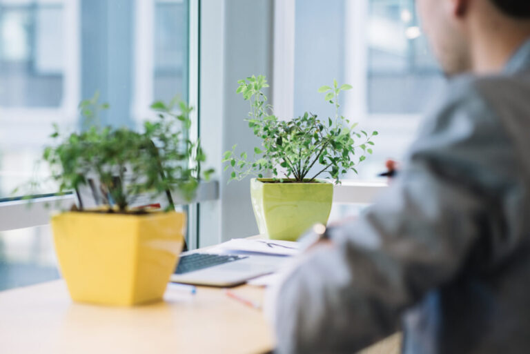 Scopri di più sull'articolo Coldiretti. Arrivano le piante “salva-uffici e scuole”: il verde che depura l’aria e migliora la salute. Lo studio con il CNR
